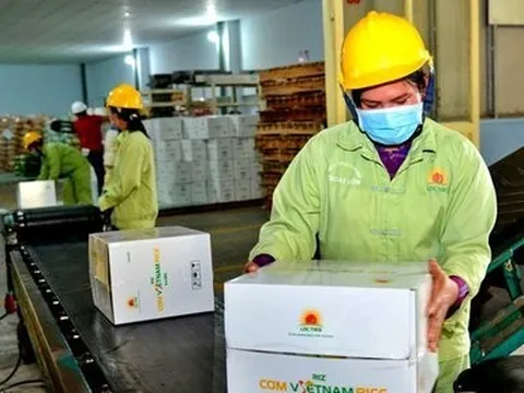 Dự báo khả quan, nỗ lực tận dụng cơ hội gia tăng xuất khẩu gạo