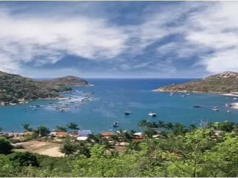 Sở KH&ĐT nói gì về năng lực của CĐT dự án Khu nghỉ dưỡng Vĩnh Hy?