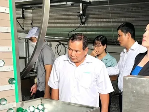 Bơm 'vốn mồi'... để nhà máy sáng đèn