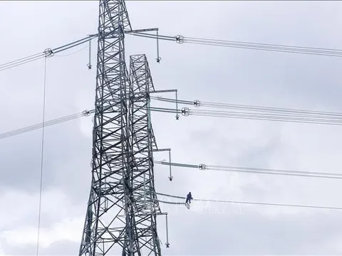 Gỡ vướng cho các dự án đường dây 500kV mạch 3 Quảng Trạch - Phố Nối