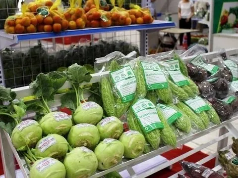 Tin vui đầu năm của xuất khẩu rau quả và mục tiêu 7 tỷ USD