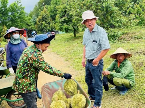 Bầu Đức và những cuộc chia tay trong chóng vánh