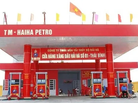 Niêm phong tổng kho xăng dầu, tạm dừng hoạt động đội tàu chở dầu của Hải Hà Petro