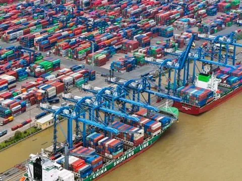 Cước tàu biển tăng phi mã, doanh nghiệp "ngồi trên lửa"