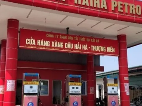 "Ông lớn" xăng dầu bị tước giấy phép: Nợ thuế ngàn tỉ, chủ bị cấm xuất cảnh
