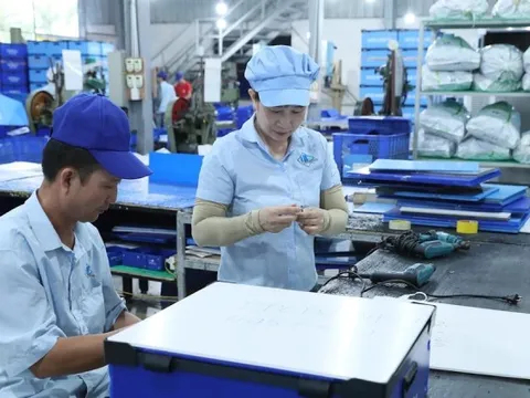 Nền kinh tế sẽ hồi phục trong năm 2024