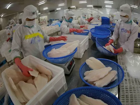 ‘Cải cách mạnh thể chế, tạo môi trường, cơ hội chứ không phải tháo gỡ’