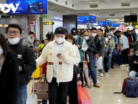 Cung không đủ cầu, giá vé máy bay Tết Nguyên đán liên tục “nhảy múa”