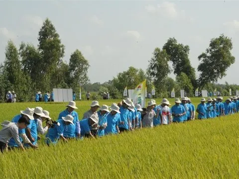 Tiềm năng kiếm bộn tiền từ tín chỉ carbon