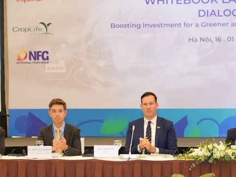 Châu Âu tăng đầu tư vào Việt Nam, vừa 'rót' thêm 100 triệu USD