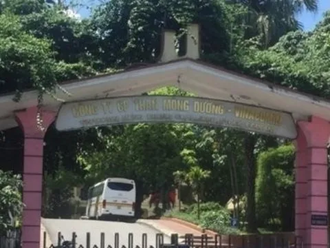 Than Mông Dương – Vinacomin bị phạt và truy thu thuế hơn 1,2 tỷ đồng