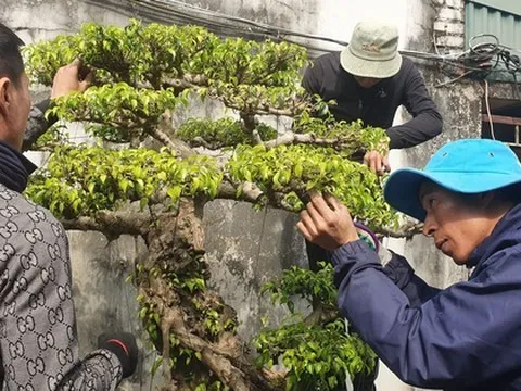 Ở nơi làm không hết việc, kiếm tiền dễ như nông dân