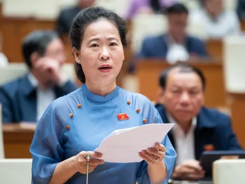 Lý do cần phân bổ vốn cho EVN kéo điện lưới ra Côn Đảo