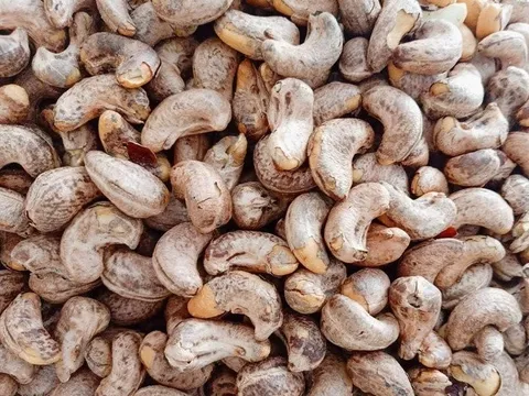 Xuất khẩu điều lập kỷ lục mới
