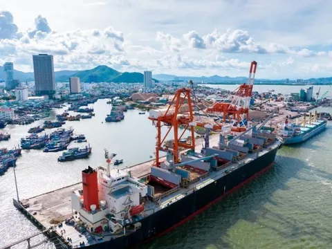 Đầu tư nâng cấp bến cảng, Cảng Quy Nhơn tăng nợ thêm 42%