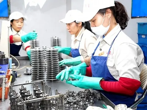 306 doanh nghiệp Việt Nam trở thành nhà cung ứng cấp 1, cấp 2 của Samsung