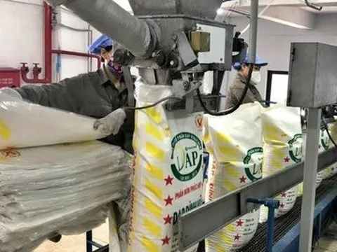 Lãi quý IV/2023 tăng gấp 8,8 lần, DAP-Vinachem vẫn hụt chỉ tiêu cả năm