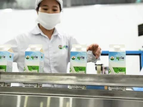 Nhờ đâu Mộc Châu Milk báo lãi kỷ lục?