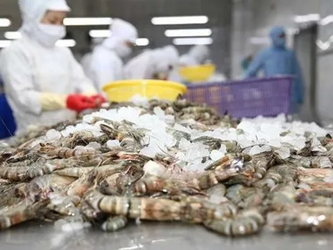 Thủy sản gặp khó, Thực phẩm Sao Ta về đích nhờ "thắt lưng buộc bụng"