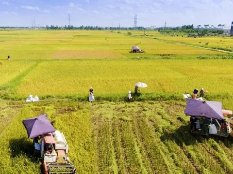 Rà soát chính sách tín dụng phục vụ phát triển nông nghiệp