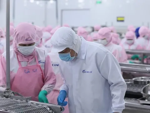 Ngành thủy sản sau 5 năm tham gia CPTPP: Cơ hội đan xen thách thức