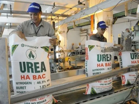 Đạm Hà Bắc lãi đột biến trong quý IV/2023 nhờ xoá lãi vay ngân hàng