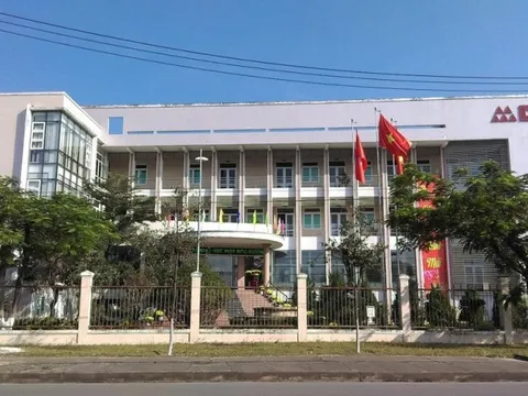 Cao su Đà Nẵng không hoàn thành kế hoạch năm 2023