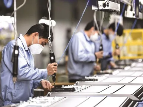 Một nhóm người đang là “gánh đỡ” của nền kinh tế, Việt Nam sẽ bước vào thời kỳ dân số siêu già năm 2056