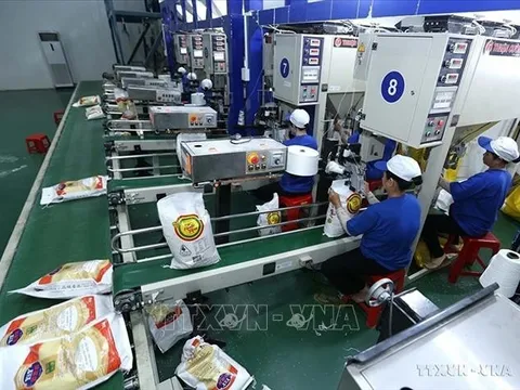 Đắt hàng, doanh nghiệp xuất khẩu gạo vẫn thận trọng chọn đơn