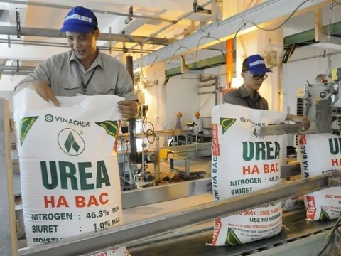 Một doanh nghiệp lớn đảo chiều từ lỗ thành lãi hơn 1.600 tỷ nhờ được xóa nợ ngân hàng