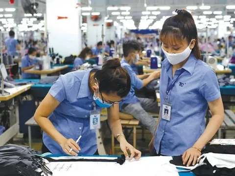 Dệt may Thành Công báo lãi thấp nhất 7 năm