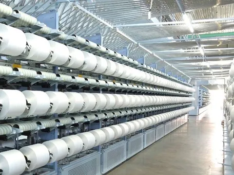 Sợi Thế Kỷ: Lợi nhuận lao dốc, tăng vay nợ "rót" vào nhà máy Unitex