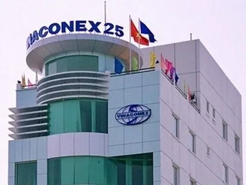 Vinaconex 25: Chi phí cao bào mòn lợi nhuận, nợ cao gấp 4 lần vốn chủ