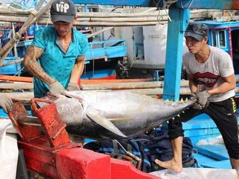 Hợp tác phát triển 7 ngành kinh tế biển Nam Trung Bộ