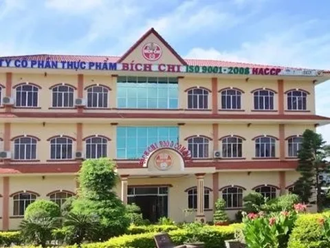 Thực phẩm Bích Chi “vui" nhờ bán hàng dịp lễ, tết