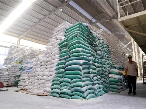 Biểu thuế nhập khẩu ưu đãi đặc biệt Việt Nam - Campuchia giai đoạn 2023 - 2024