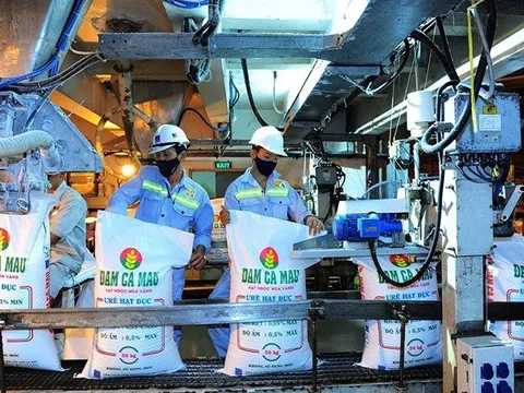 Công ty phân bón lớn nhất sàn chứng khoán báo lãi vọt lên gần 500 tỷ trong quý 4, tiếp tục tích 'tiền tươi' hơn 10.500 tỷ