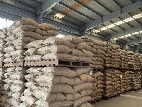 Cà phê Thắng Lợi: Lãi không đủ trả nợ