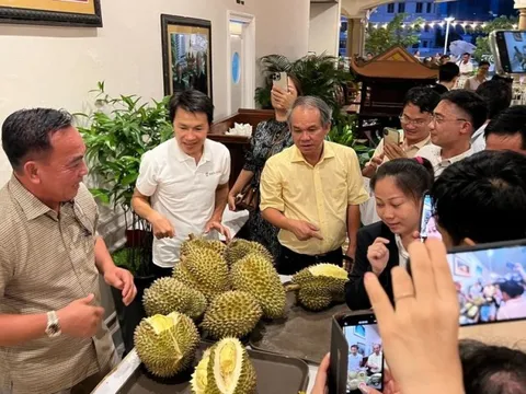 HAGL ưu tiên giải ngân vốn để mua lại toàn bộ nợ gốc và lãi trái phiếu