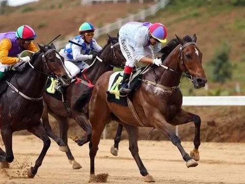 DN đằng sau trường đua ngựa, đua chó nghìn tỷ tại Lâm Đồng vừa được phép chuyển mục đích sử dụng 6.570 m2 đất để xây dự án