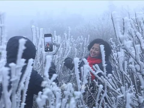 Gần 10 nghìn lượt khách lên đỉnh Mẫu Sơn ngắm băng tuyết