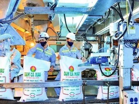 Khoản tiền nhàn rỗi của Đạm Cà Mau vượt mức 10.000 tỷ đồng