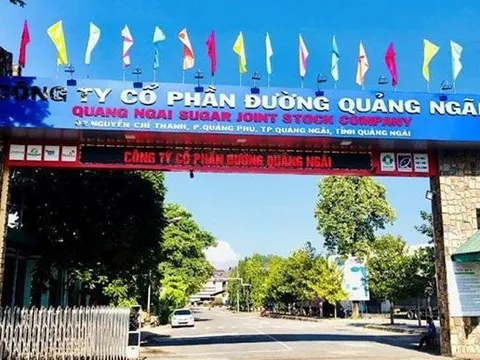 Chủ thương hiệu sữa Fami báo doanh thu 2023 hơn 10.000 tỷ đồng