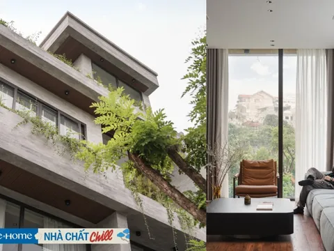 Chán ở chung cư, gia đình 3 thế hệ xây nhà phố gần 300m2, không gian xanh mát, tràn ánh sáng: Nhà ống trong phố cần lưu ý điều này