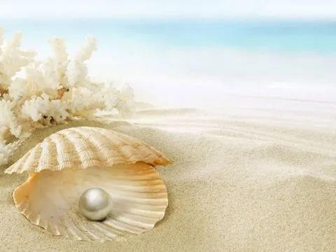 "Viên kim cương quý", có giá trị lên đến 20 tỷ USD của nền kinh tế Việt Nam