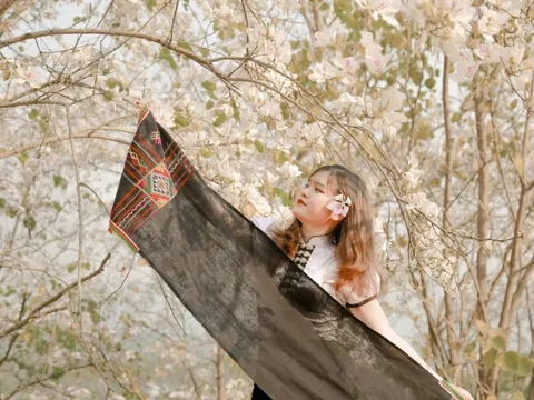 Tỉnh duy nhất Việt Nam có đường biên giới với Trung Quốc và Lào sẽ là trọng điểm du lịch đẳng cấp quốc tế