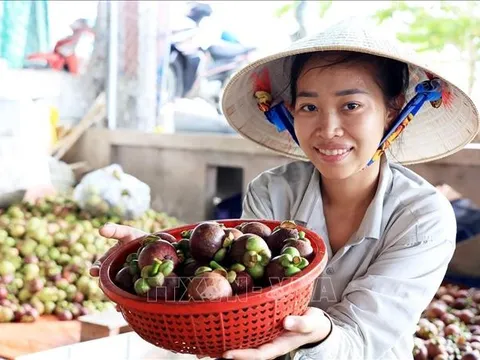 Tháng đầu năm, cận Tết, tổng mức bán lẻ hàng hóa, dịch vụ tiêu dùng tăng