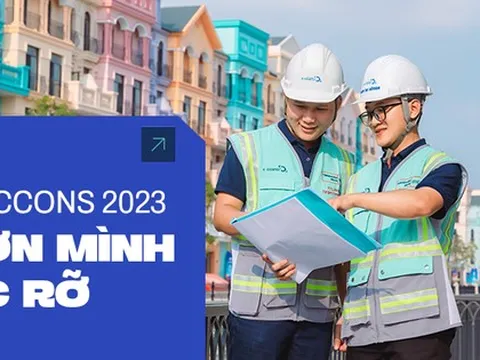 Coteccons: Từ “mớ hỗn loạn” đến cú vươn mình rực rỡ