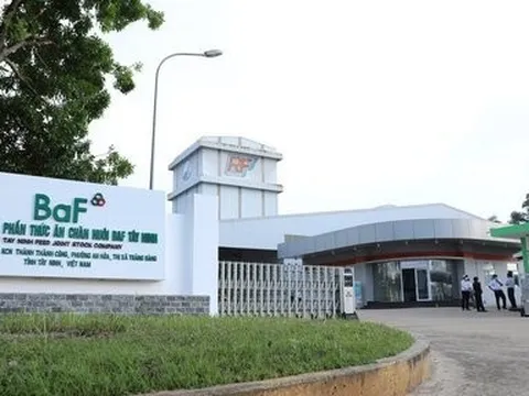 Lần đầu báo lỗ, BAF tăng nợ vay bằng lần