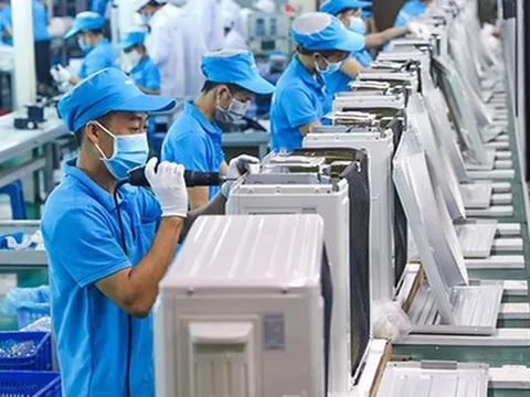 Vì sao Asanzo bị dừng thủ tục thông quan?